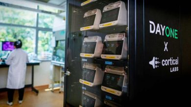 Nyt datacenter drives af 16 millioner menneskelige hjerneceller 7 datacenter